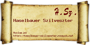 Haselbauer Szilveszter névjegykártya