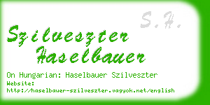 szilveszter haselbauer business card